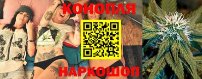 гашик Жуковский