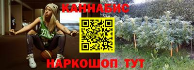 гашик Жуковский