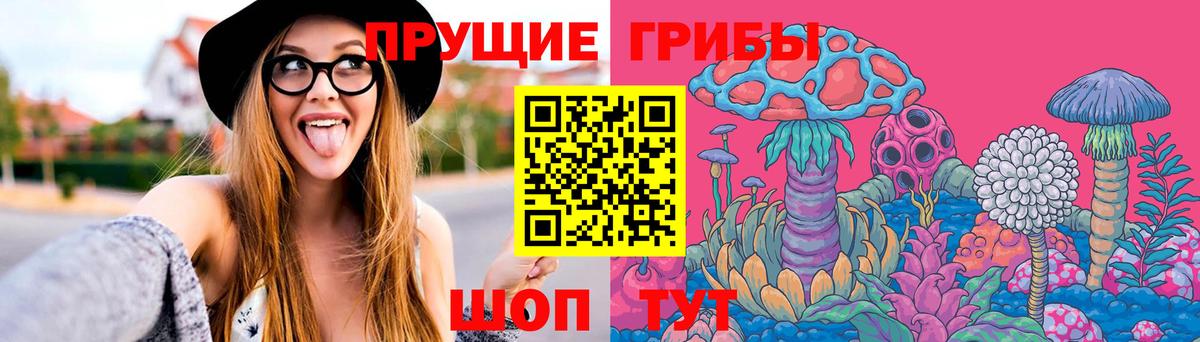Ухта  Галлюциногенные грибы MAGIC MUSHROOMS  Псилоцибиновые грибы GOLDEN TEACHER  Вход с VPN 